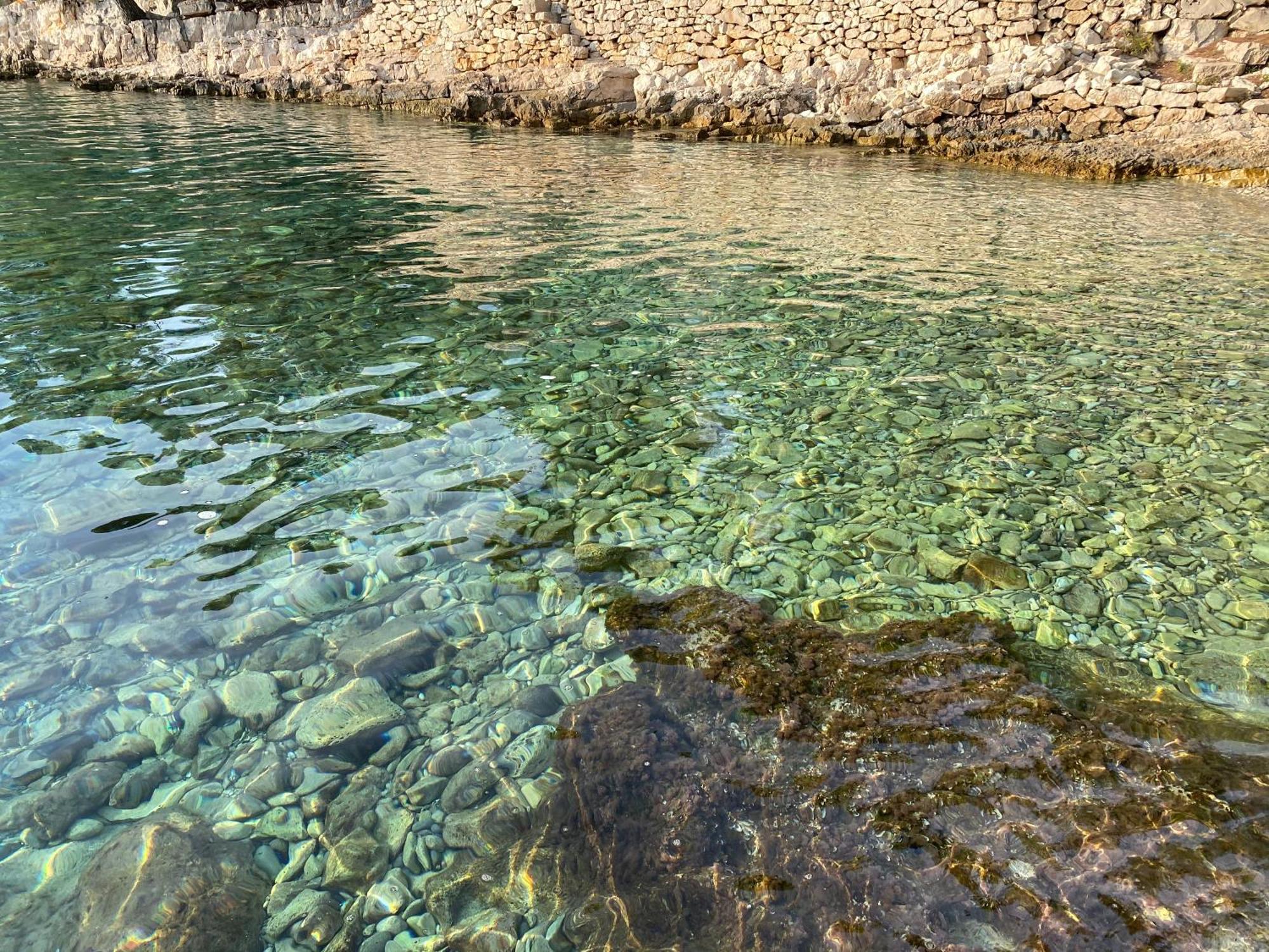 Villa Terra Nostra Hvar フヴァル エクステリア 写真