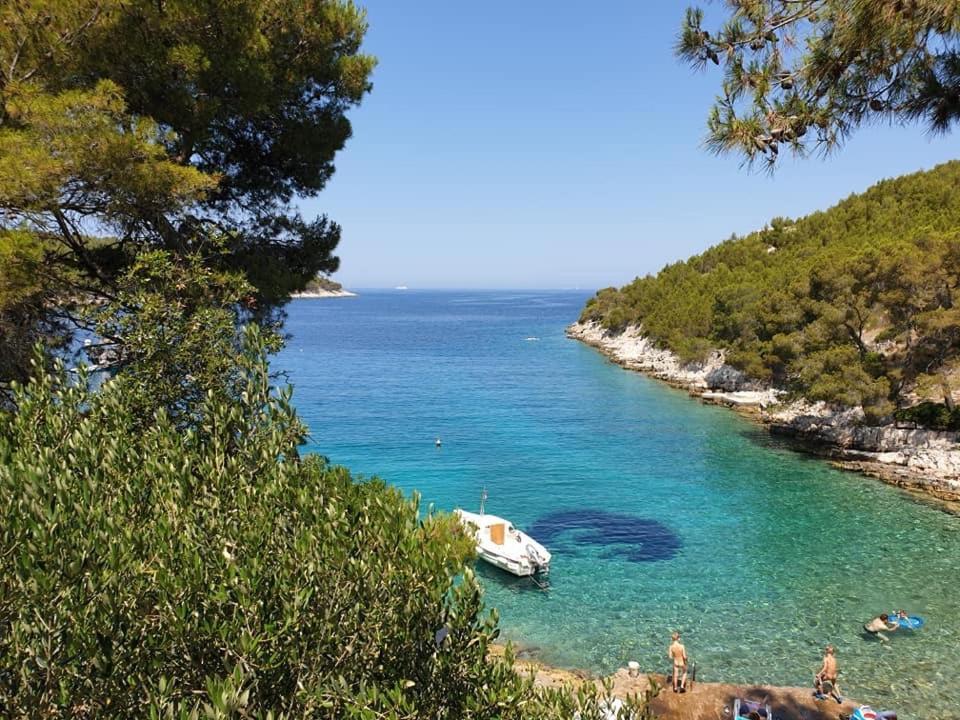Villa Terra Nostra Hvar フヴァル エクステリア 写真