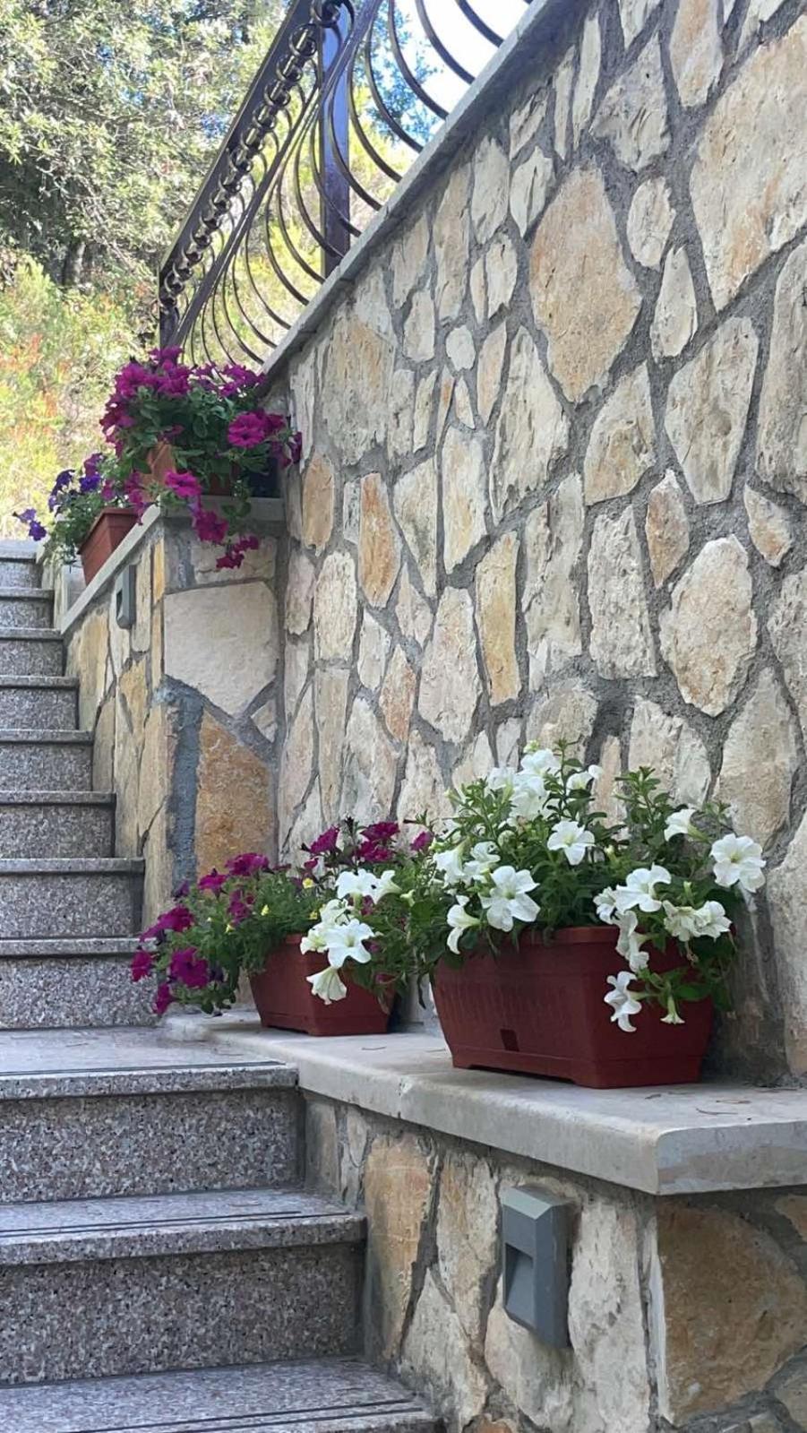 Villa Terra Nostra Hvar フヴァル エクステリア 写真