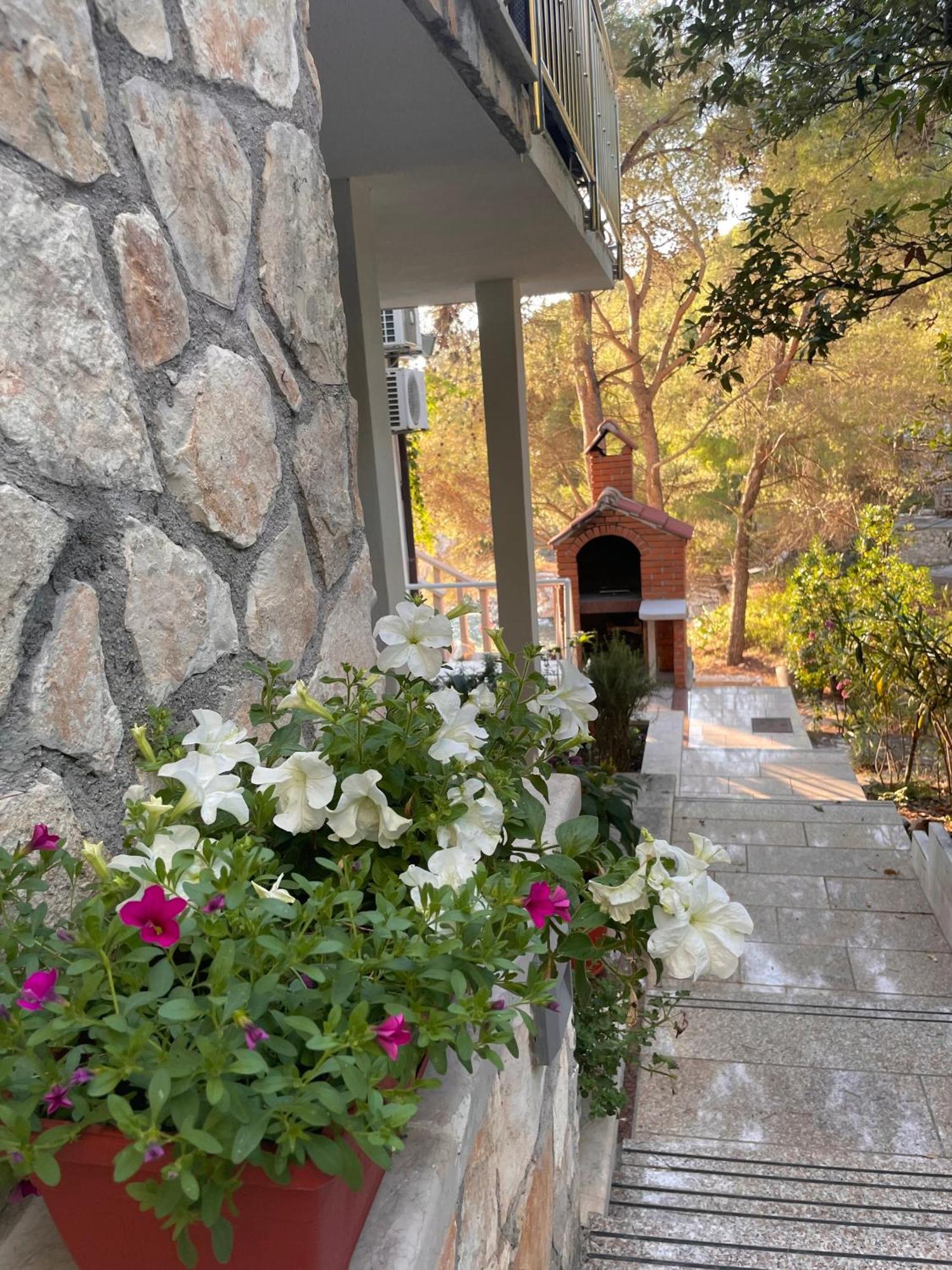Villa Terra Nostra Hvar フヴァル エクステリア 写真