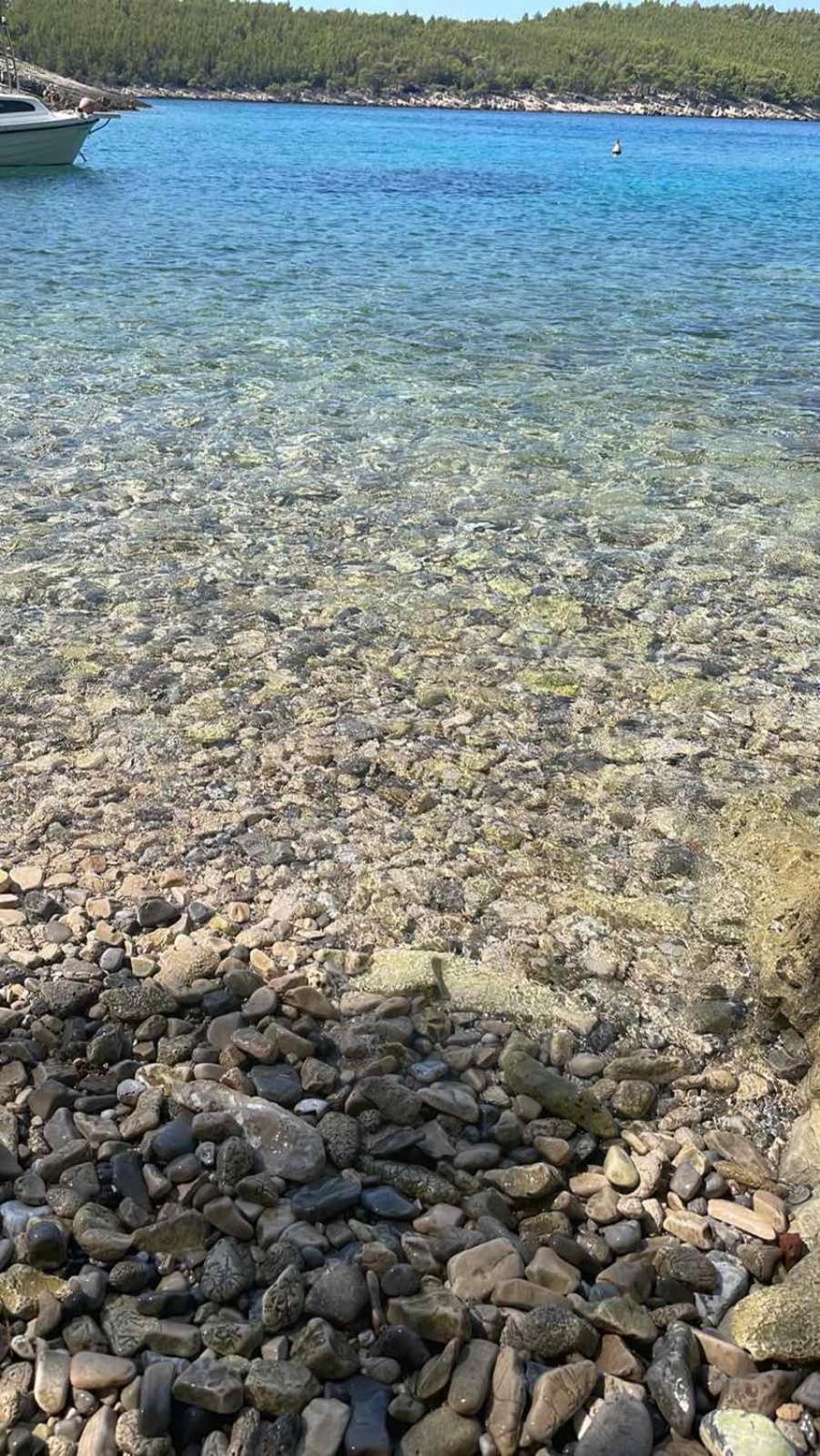 Villa Terra Nostra Hvar フヴァル エクステリア 写真