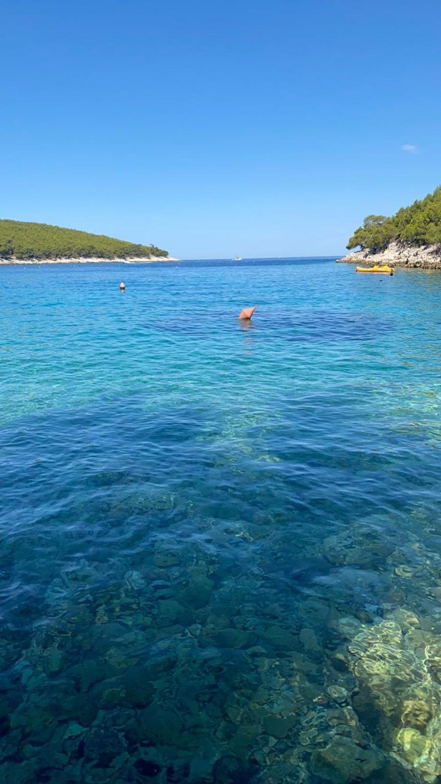 Villa Terra Nostra Hvar フヴァル エクステリア 写真